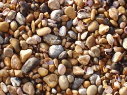 Shingle on the beach